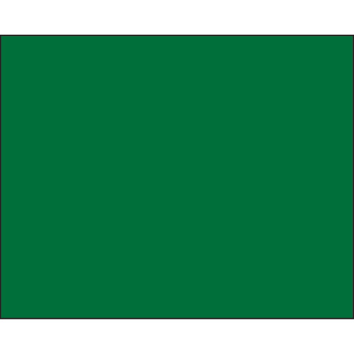 ﾋﾞｭｰﾎﾞｰﾄﾞｸﾞﾘｰﾝD-2G用ﾌﾟﾚｰﾄ(無地) 1個画像