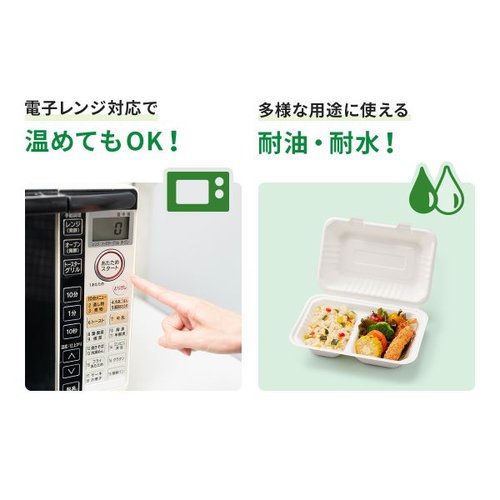 弁当容器 新ABランチ200-220 パックスタイル 透明な容器が中身を見せる状態