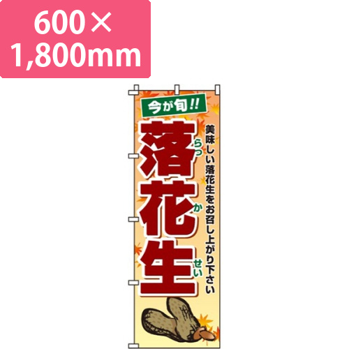 落花生画像