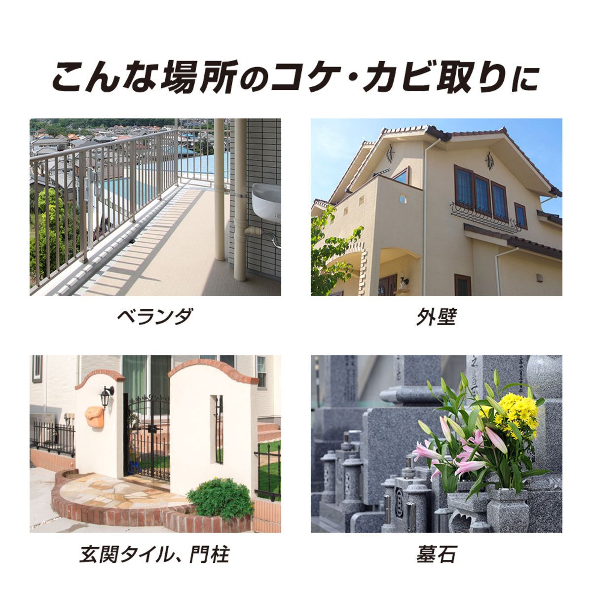 洗剤　業務用ガチ落ちコケ・カビ取り　1009905 白いボトルの前面には大きなラベルがあり、液体の内容が見える透明な部分がある。