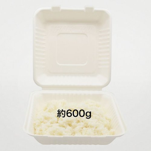 弁当容器 ABランチ230-230 パックスタイル 透明な蓋が付いた弁当容器が斜めから見える状態