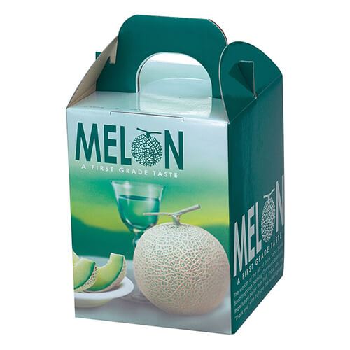 ビリジスメロン１ヶ入画像