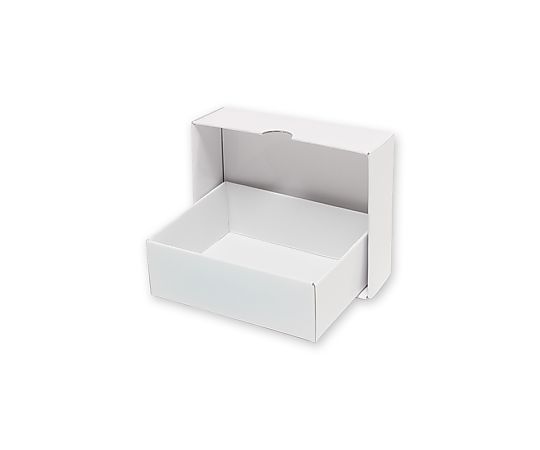 HEIKO 箱 デラックス白無地箱(エスプリ) アクセサリーL用 A-2 10枚入画像
