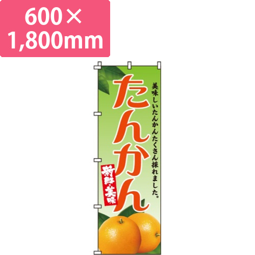 たんかん画像