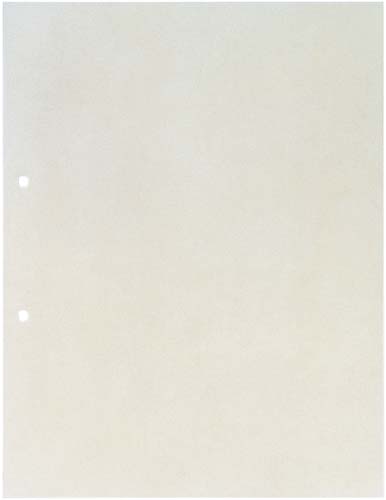 透明ポケット　Ａ４縦　２穴　１０枚画像