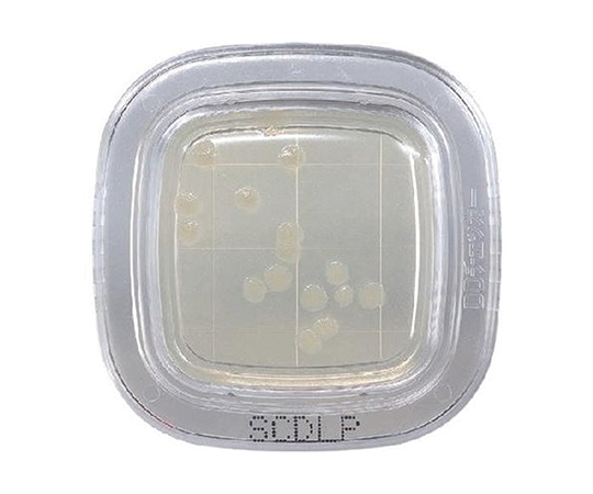 ぺたんチェック®DD SCDLP寒天培地 1箱（20枚入）画像