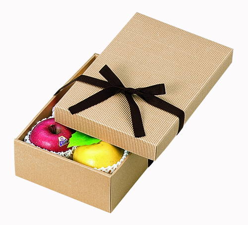 片段ギフトボックス リボン付き（305×205×高95mm）画像