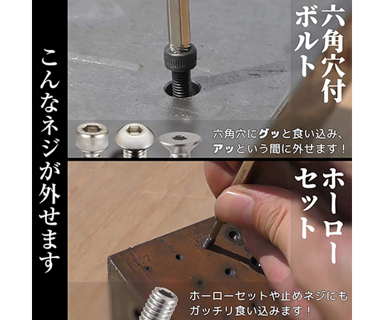 ネジザウルスセット 工具が整然と並んでおり、ケースが開いた状態。