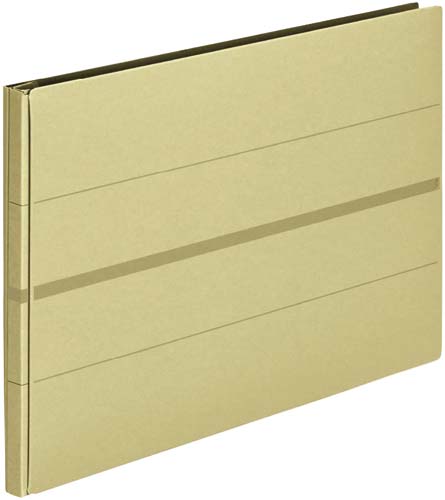 背幅伸縮ファイル　セノバス　Ａ４Ｅ　ベージュ１０冊画像