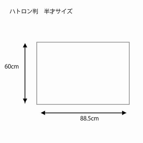 包装紙 Ｈ判 半才 ペールフラワー 包装紙のサイズ感がわかるイメージ