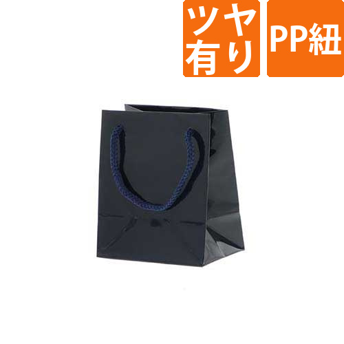 手提げ紙袋（ネイビー ツヤあり・PP紐・幅100×マチ70×高さ120mm）画像