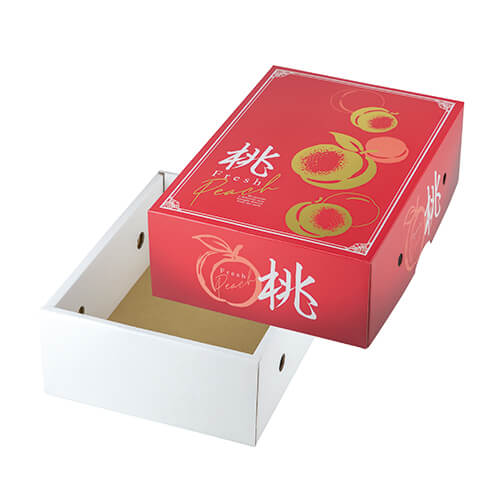 グレースピーチ２画像