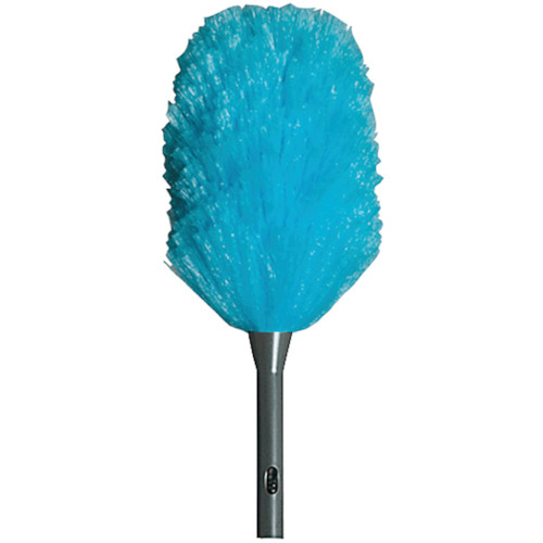 ﾊｳｽﾎﾟｰﾙｱﾌﾛｸﾘｰﾝ青 1個画像