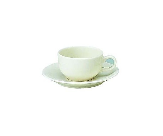カジュアルウェア YB360-1 ティーカップ(6個入)画像