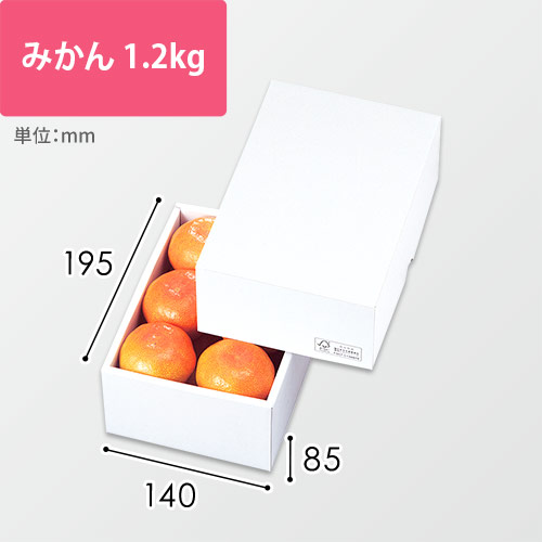 パール１７　ＦＳ画像