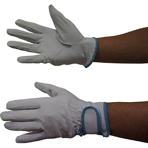 ﾎｰｹﾝ ﾌﾟﾛﾜｰｸ ﾎﾟｰｸｼﾞｮｲ#250 M 1双画像