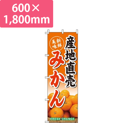 産地直売みかん画像