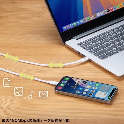 USB2.0　PD60W対応　Type-Cケーブル　ホワイト　3m(RoHS指令10準拠)　1本 コネクタ部分が強調された状態で平置きされている長いケーブル