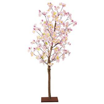 山桜立木 (高さ：120cm）画像