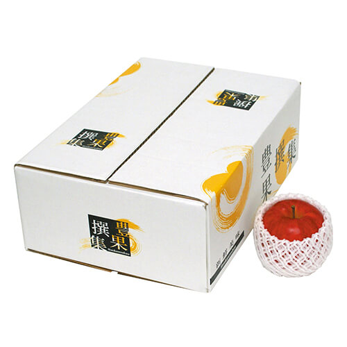 豊果撰集（中Ｂ）画像