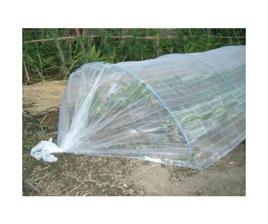 農園芸用 銀糸入り防虫ネット 透明 透光率90％ 1.5m×20m 透明な防虫ネットが広がり、光を透過する状態