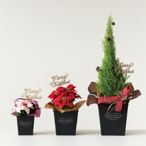 弁当ピック クリスマスフラワーピック-10/ウッド(10本) ヘッズ カラフルなクリスマスフラワーピックが10本並んでいる様子