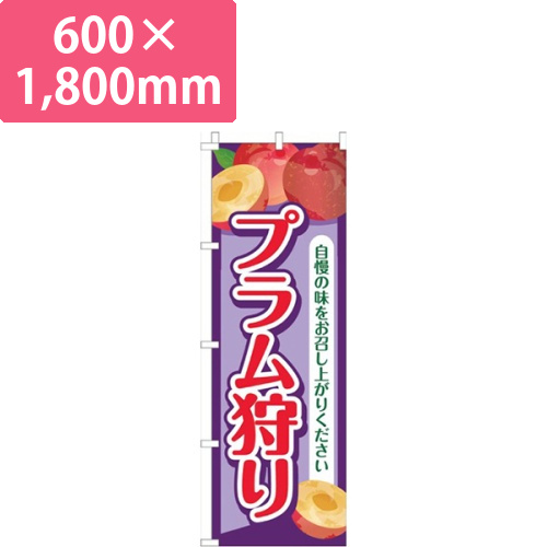 プラム狩り紫画像
