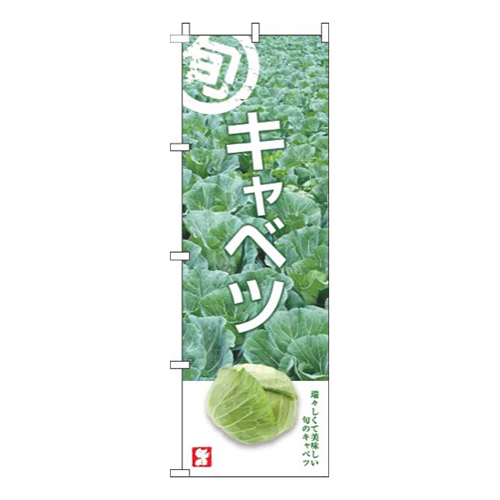 キャベツ旬写真画像