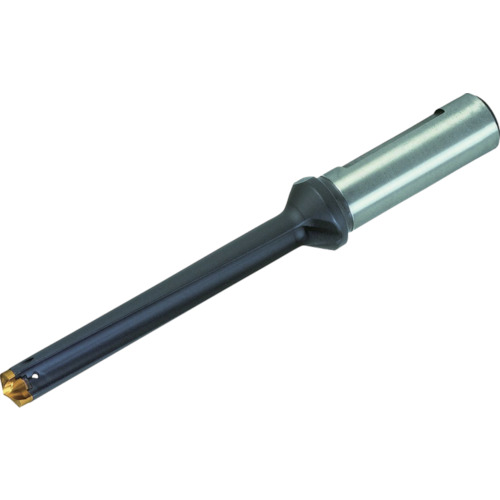 X ｶﾑﾄﾞﾘﾙ/ﾎﾙﾀﾞ 1本画像