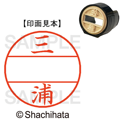 ﾃﾞｰﾀｰﾈｰﾑEX15号 ﾏｽﾀｰ部(印面) 既製 三浦 1個画像