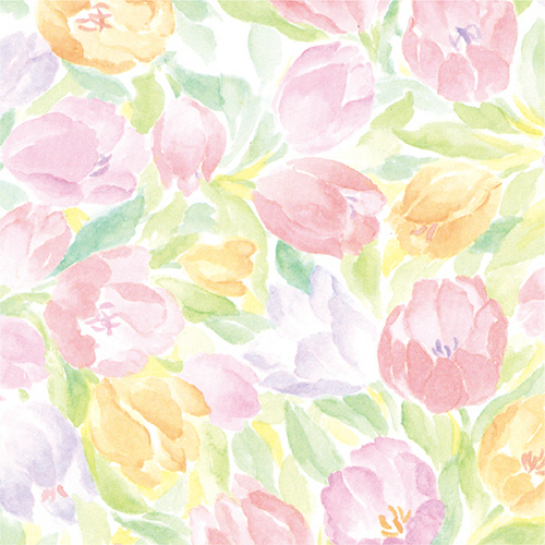 包装紙 ﾒﾓﾜｰｽﾞ 半才判 1ﾊﾟｯｸ(50枚)画像