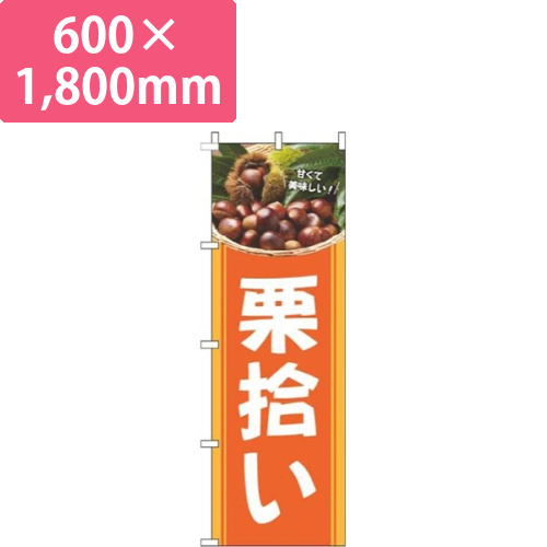 栗拾いオレンジ画像