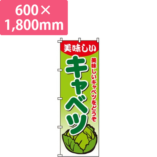 キャベツ画像