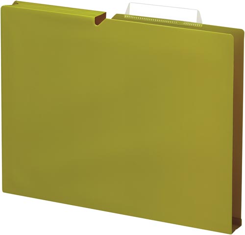 個別フォルダー＜ＮＥＯＳ＞Ａ４　３０ｍｍ緑　１０冊画像