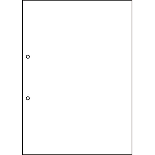 マルチプリンタ帳票　Ａ４　白紙　２穴１００枚画像