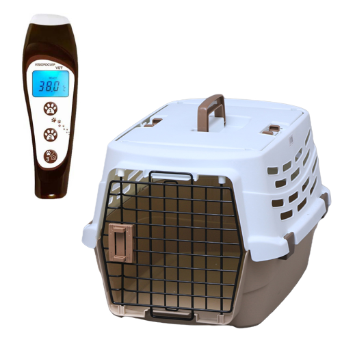 動物医療画像