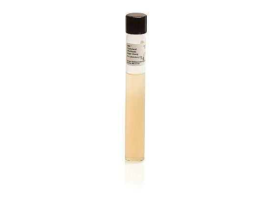 BD BBL（TM） 標準平板分注用寒天培地（20mL）1個（10本入）画像