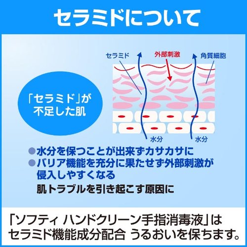 アルコール消毒剤 ソフティ ハンドクリーン手指消毒液 1L 花王 透明なボトルに液体が入った様子で、キャップが閉まっている状態