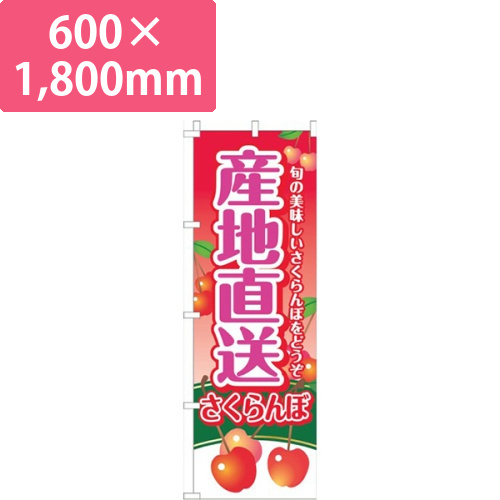 産地直送さくらんぼ赤グラデーション画像