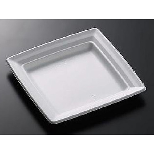 中央化学 軽食容器 CT 沙楽 K20-20 W 本体画像