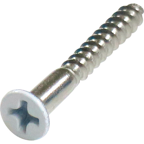 ﾈｼﾞｶﾗｰ ｽﾃﾝﾚｽ 木ねじ 皿頭 2.7×20白 1ﾊﾟｯｸ(16本)画像