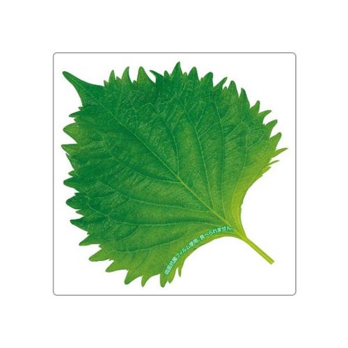 フィルムシート グルメシート 抗菌大葉 角 85×85 ユニバース画像