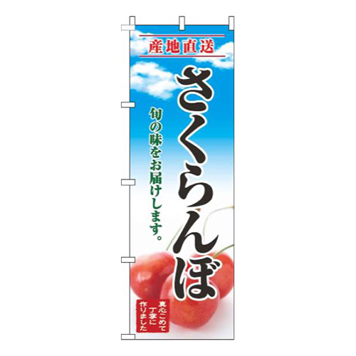 さくらんぼ青空明画像