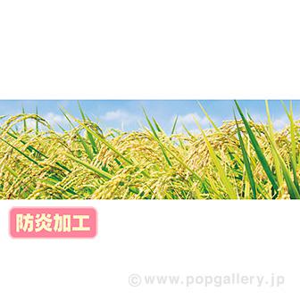 ラウンドシート 稲穂（写真） （防炎加工）画像