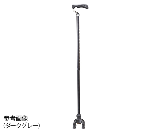 2ウェイステッキ　ダークグレー画像