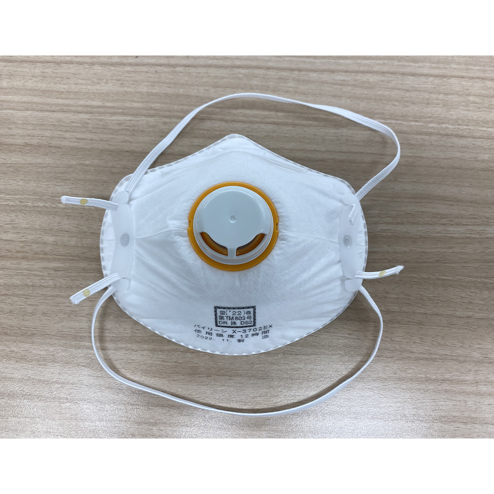 防じんマスク 1箱（10枚入）画像