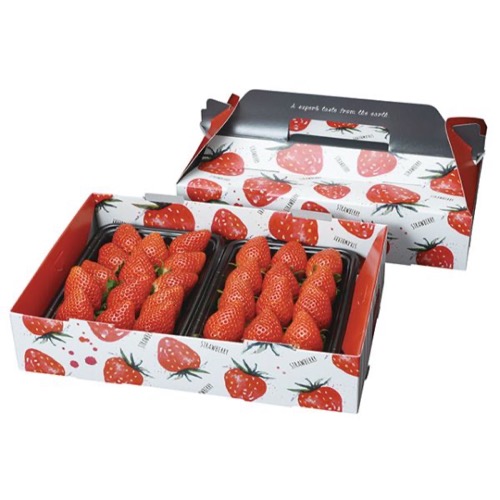 フルーツ容器 パックスタイル PS手提箱イチゴ 2P※イチゴは入っていません画像