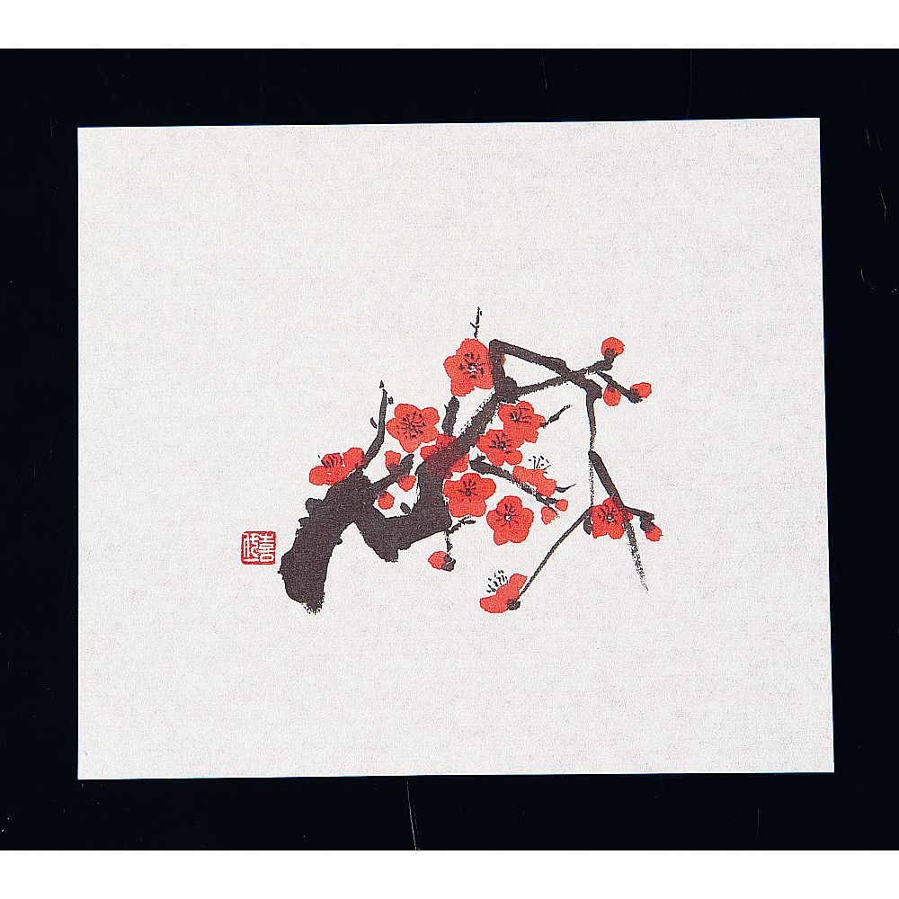 鮮度保持紙(100枚入) 紅梅 M30-086画像