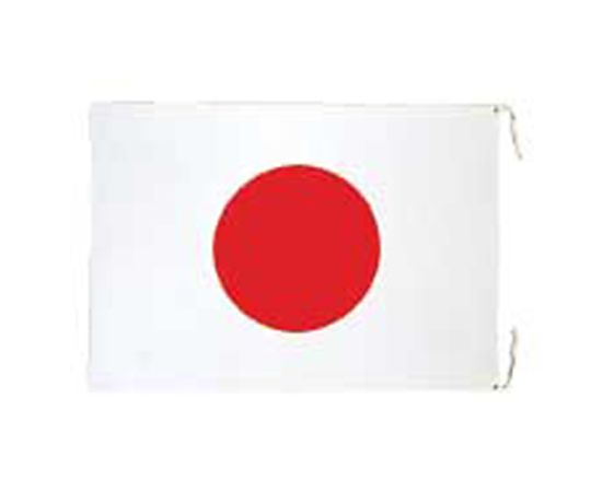 1500x1030mm 国旗(綿) 風になびく大きな国旗が掲げられた様子