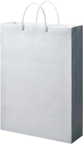 白無地ビニールカバーバッグ　特大　１０枚×５画像